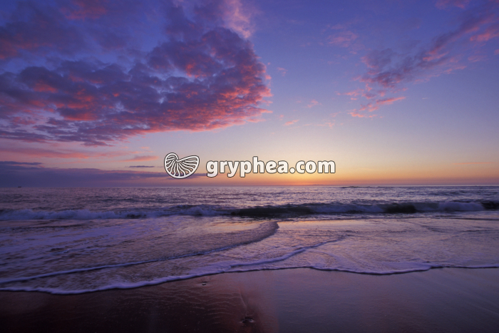 Plage dans le Cotentin - gryphea.com